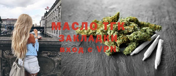 твердый Няндома