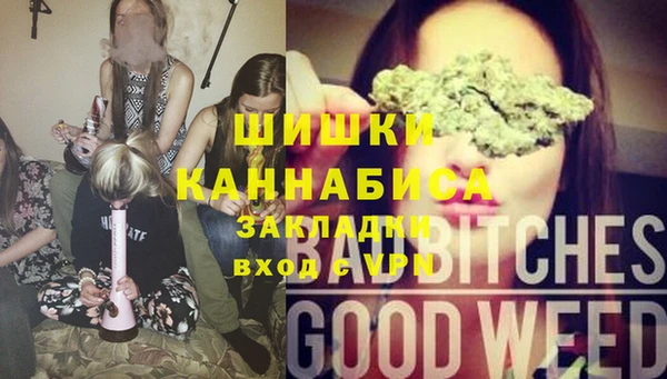 твердый Няндома