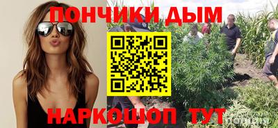 шишки Азнакаево