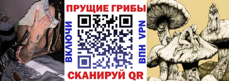 Псилоцибиновые грибы GOLDEN TEACHER  Бугуруслан 